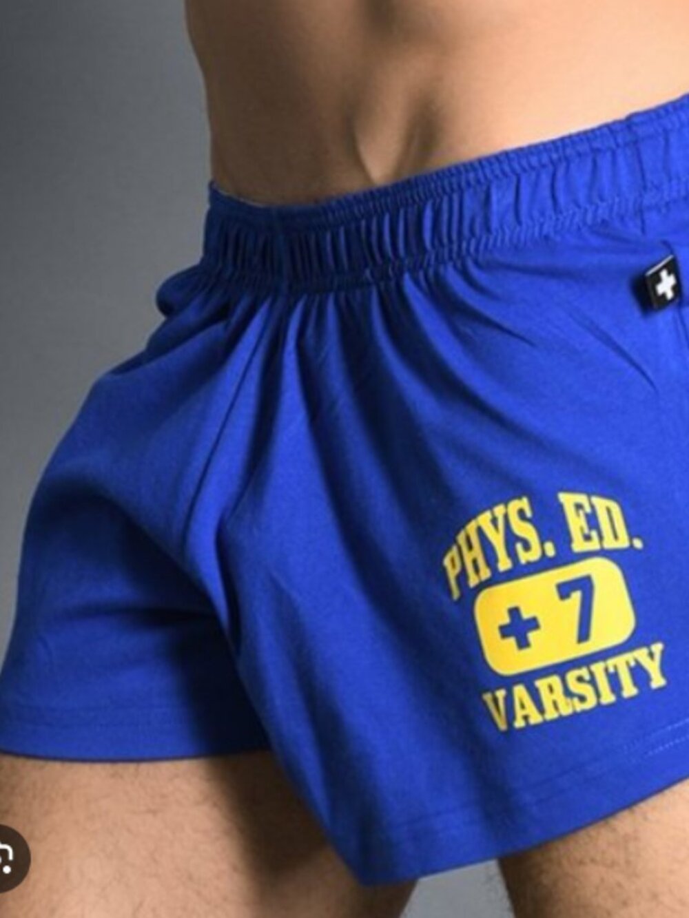 Andrew Christian Blue Cotton Phys Ed Shorts Mens L